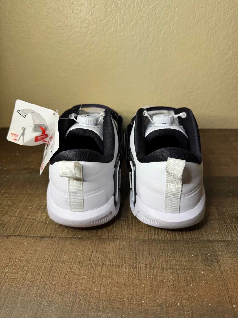 Jordan air rev